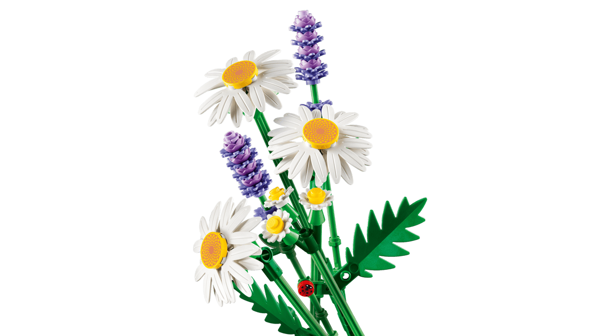11508 Daisies