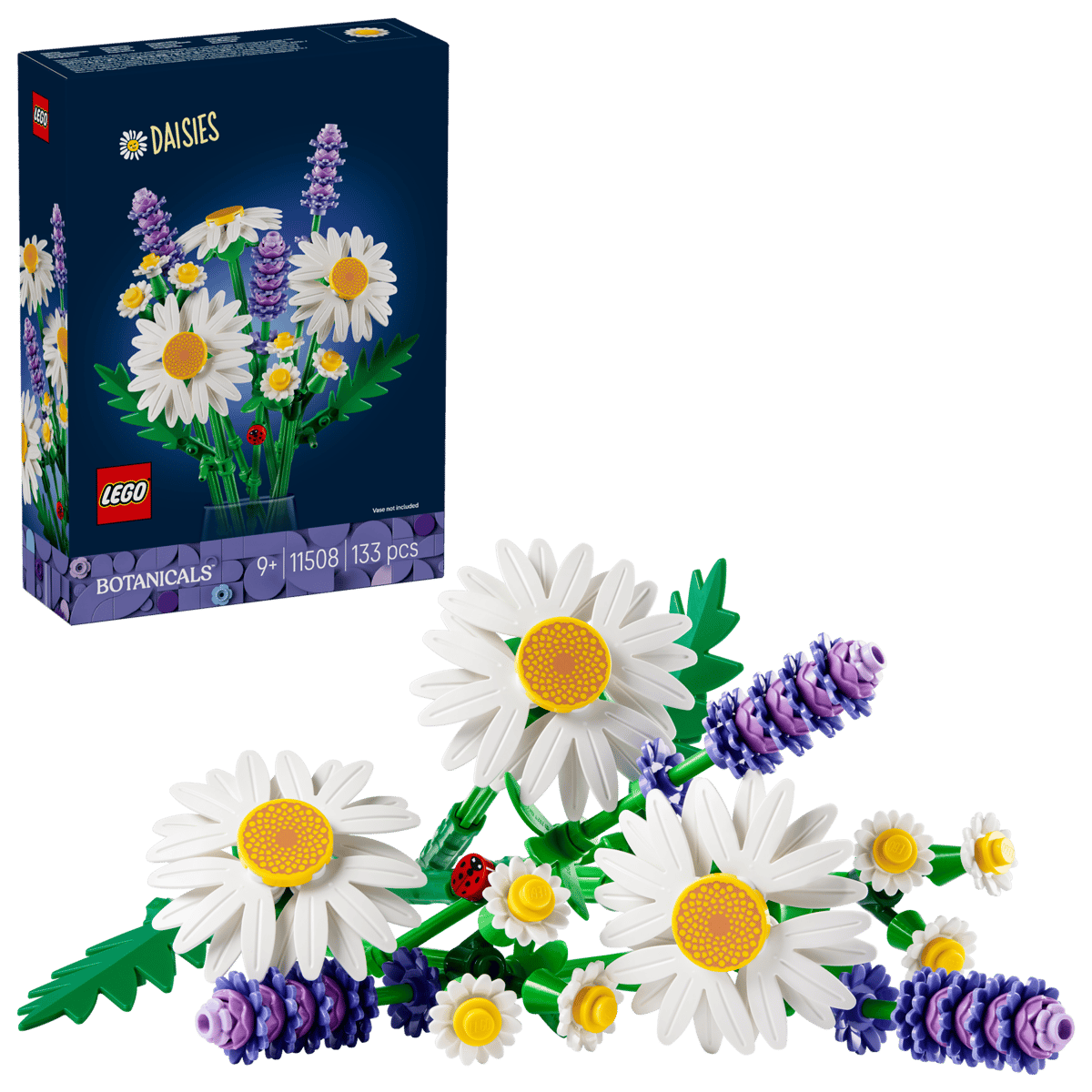 11508 Daisies