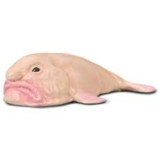 Blobfish