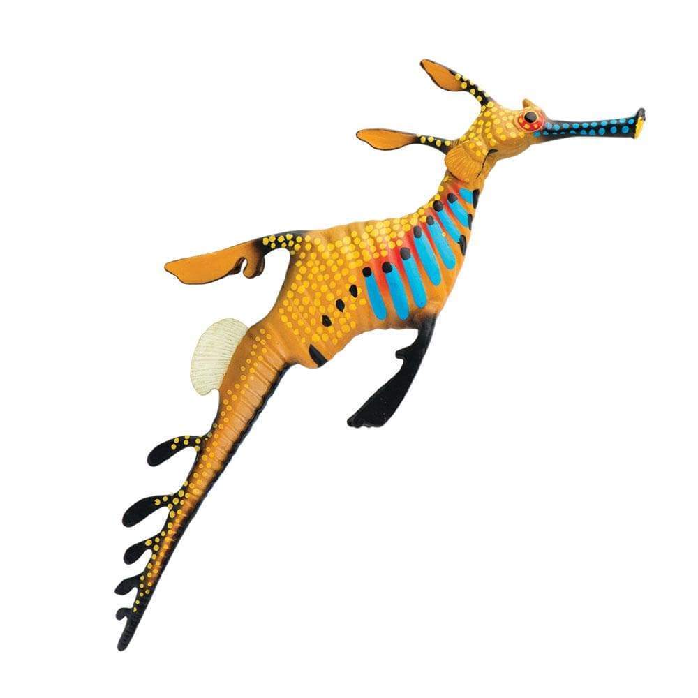 Safari Sea Dragon