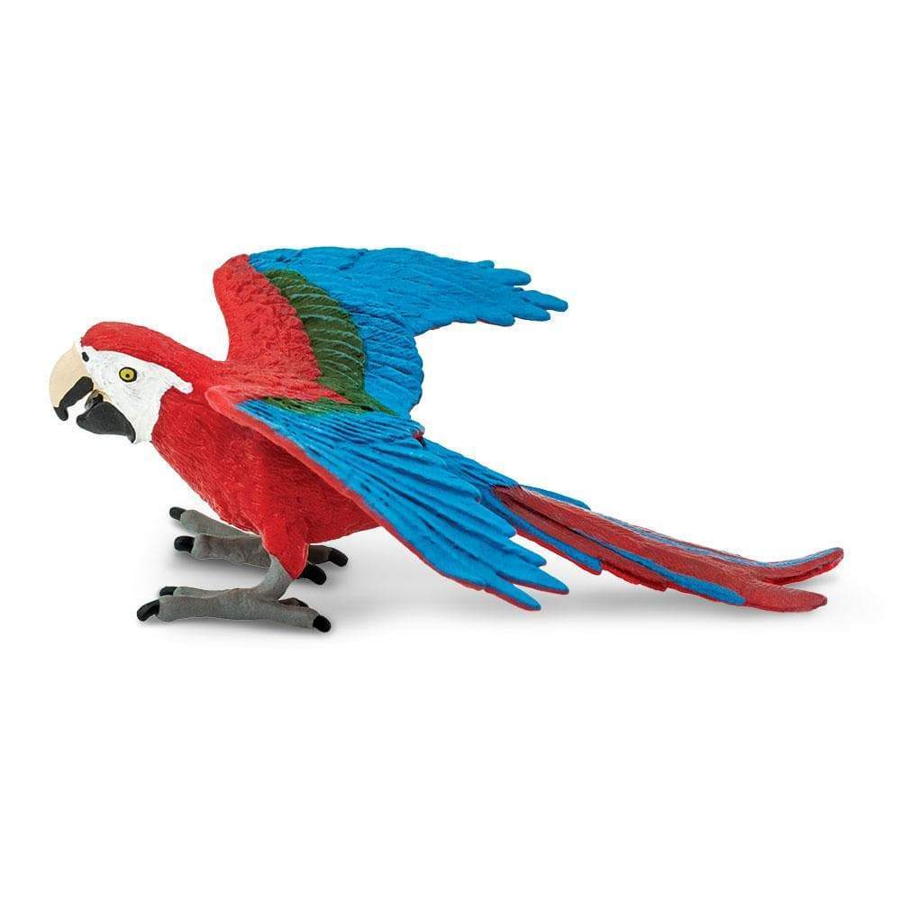 Safari Green Winged Macaw