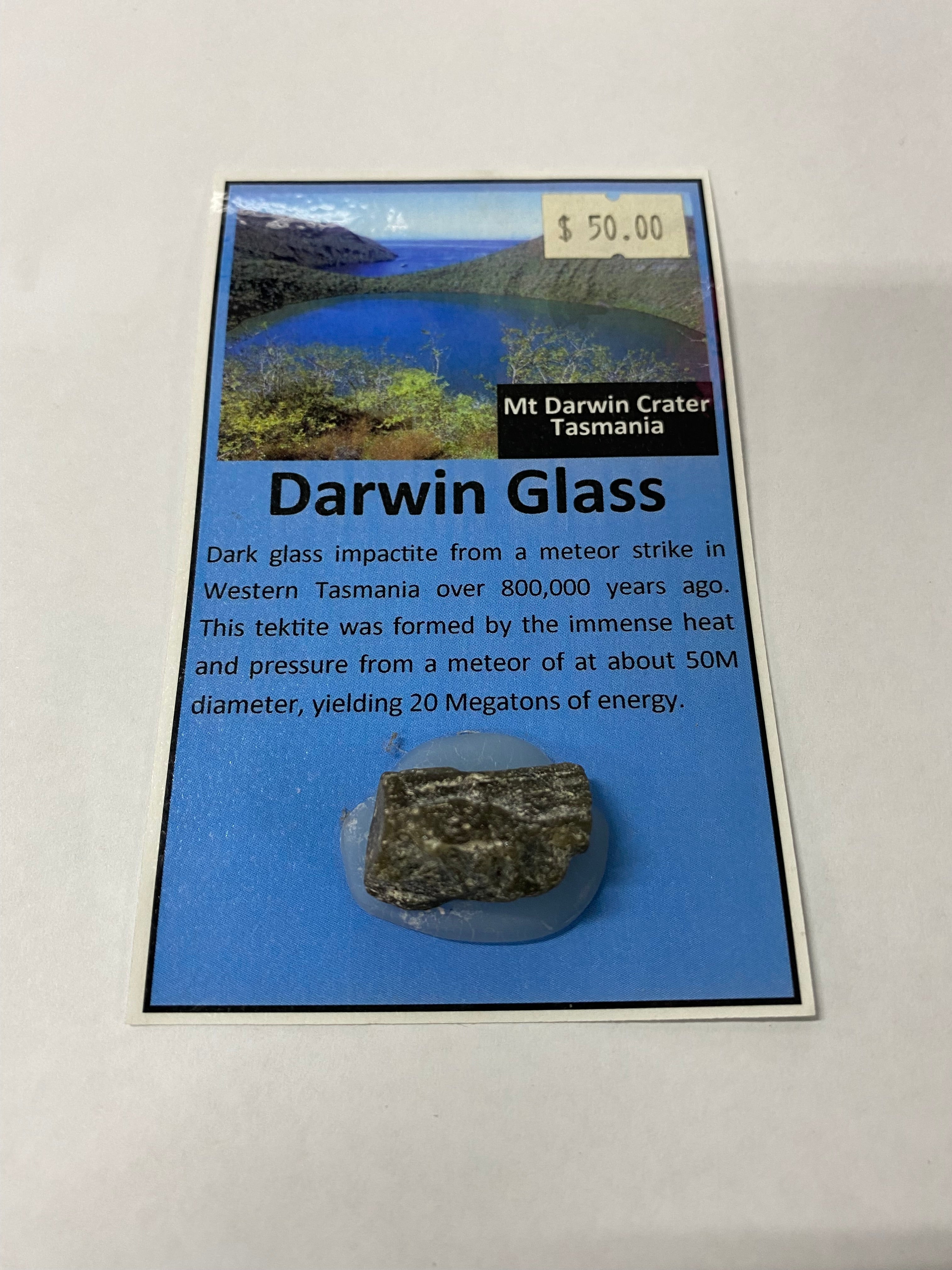 Darwin Glass