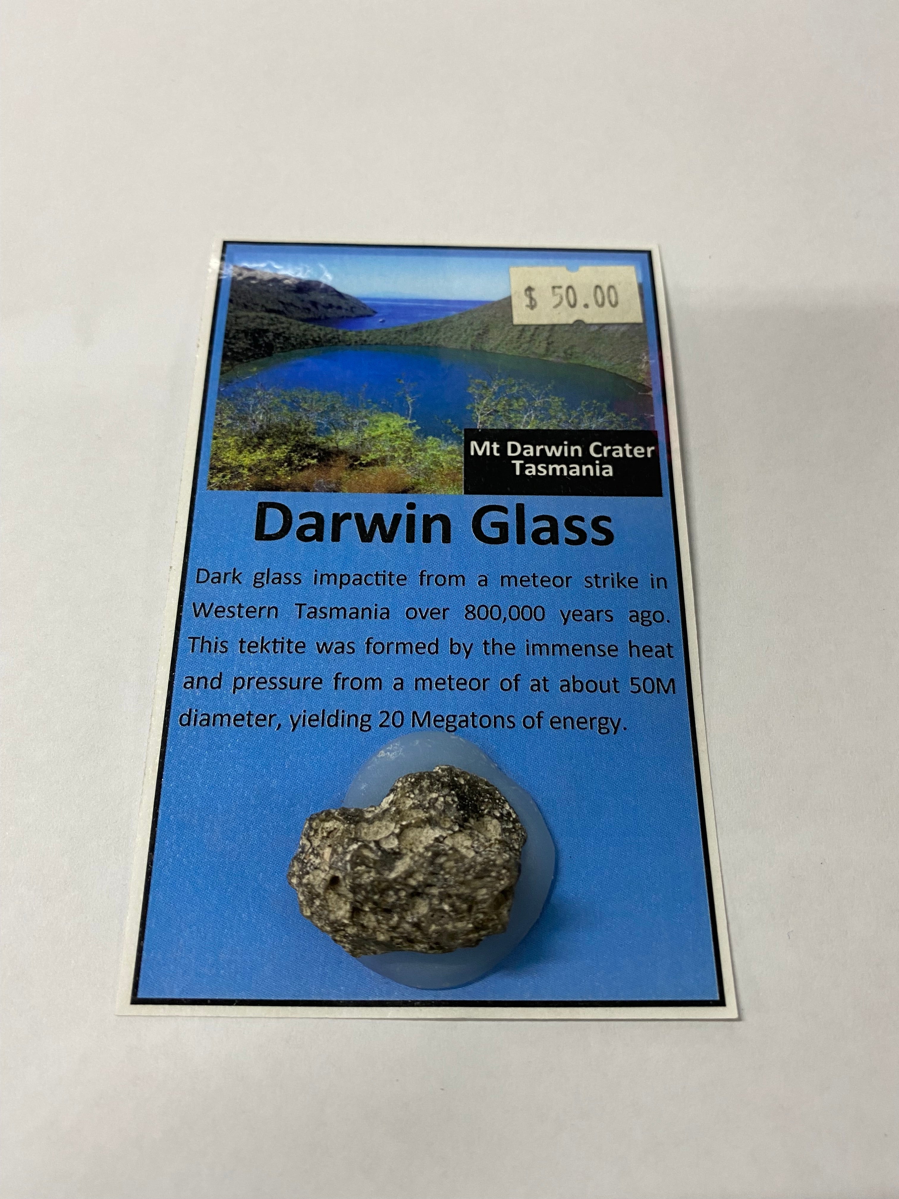 Darwin Glass