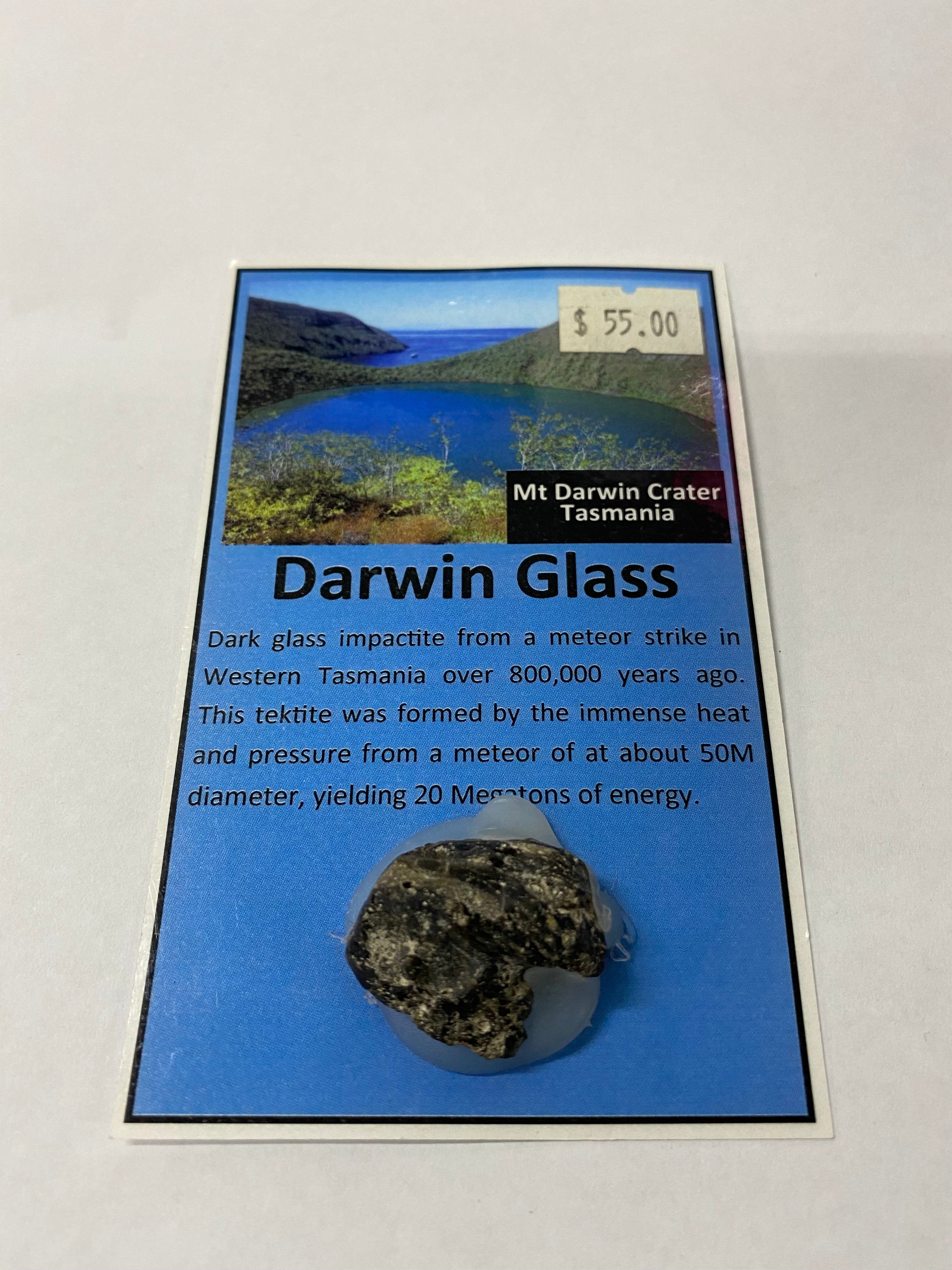 Darwin Glass