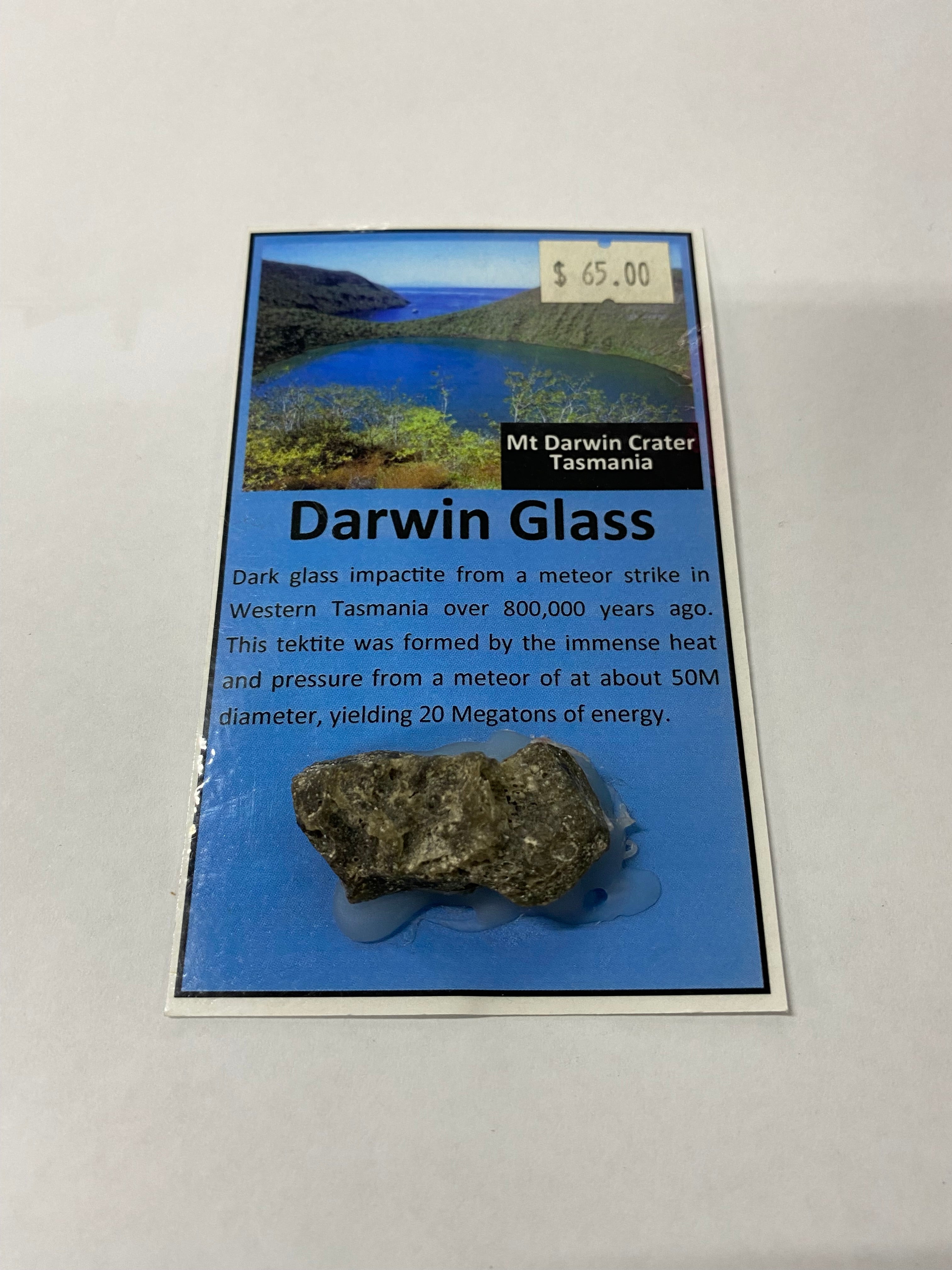 Darwin Glass