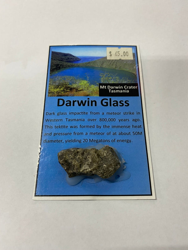 Darwin Glass