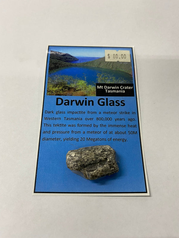 Darwin Glass