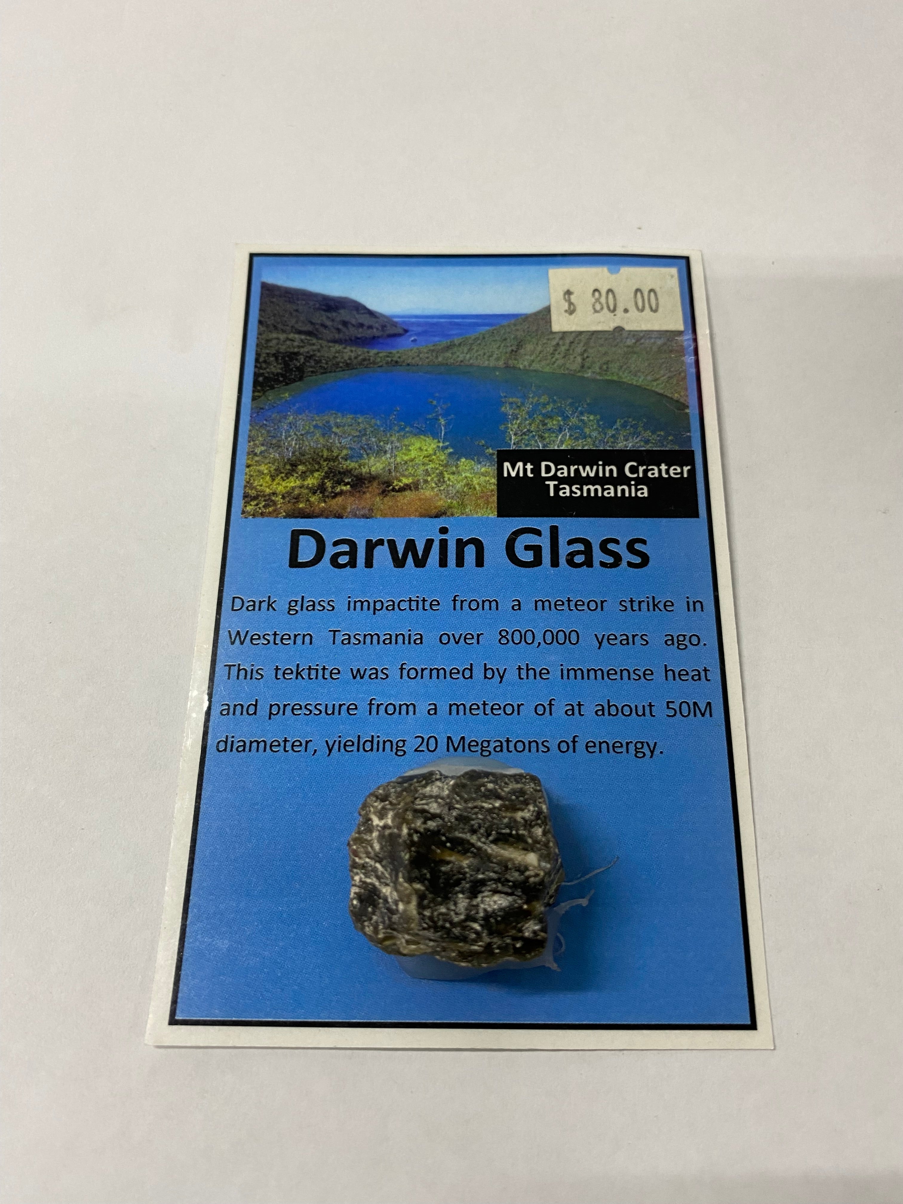 Darwin Glass