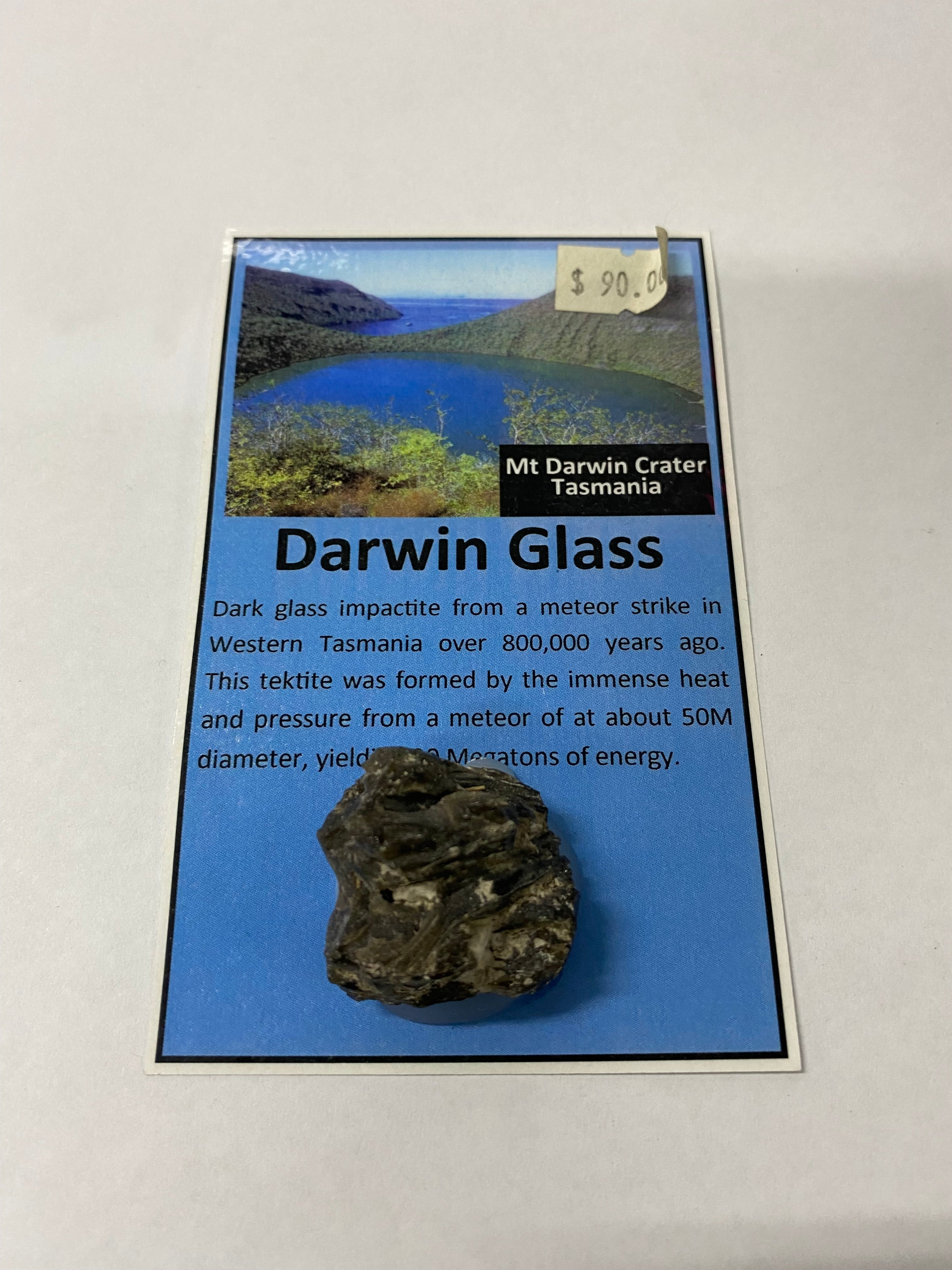 Darwin Glass