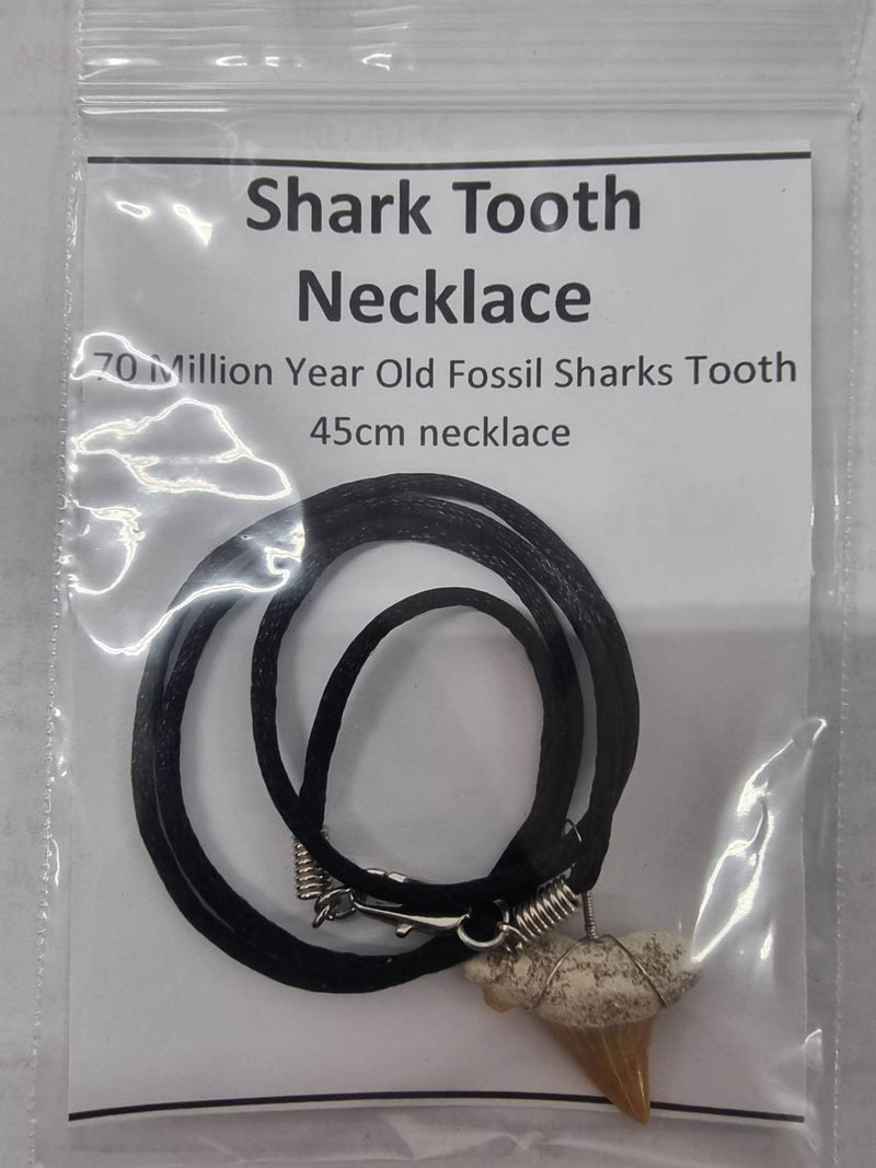 Fossil Sharks Tooth Necklace