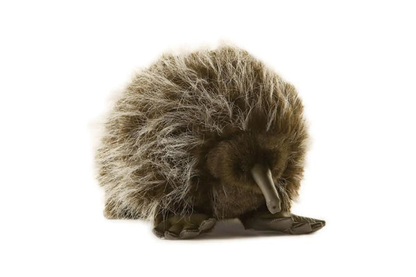 Echidna