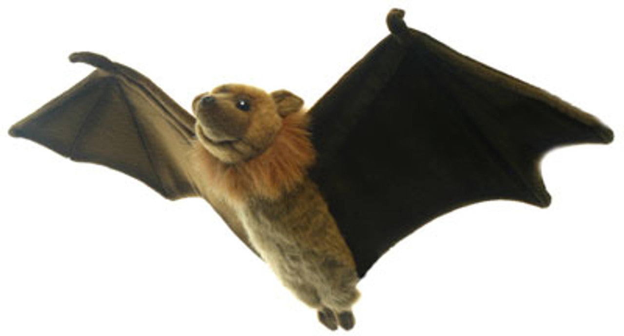 Flying Fox 67cm