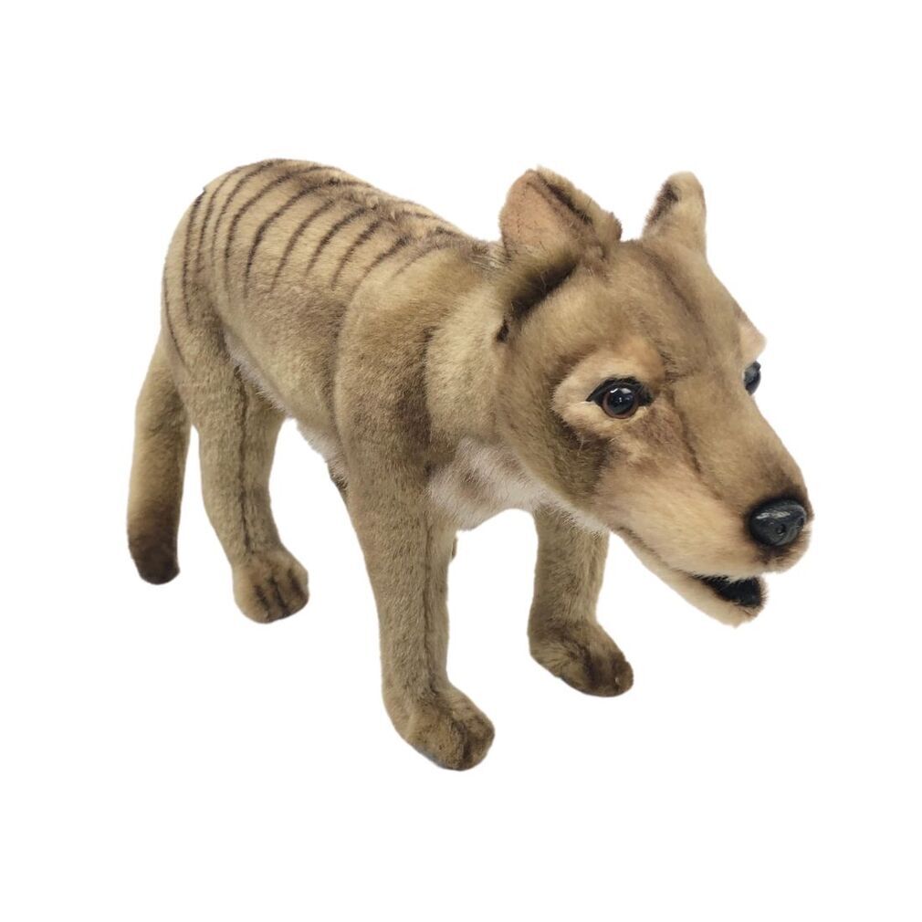 Plush Thylacine (Tasmanian Tiger)