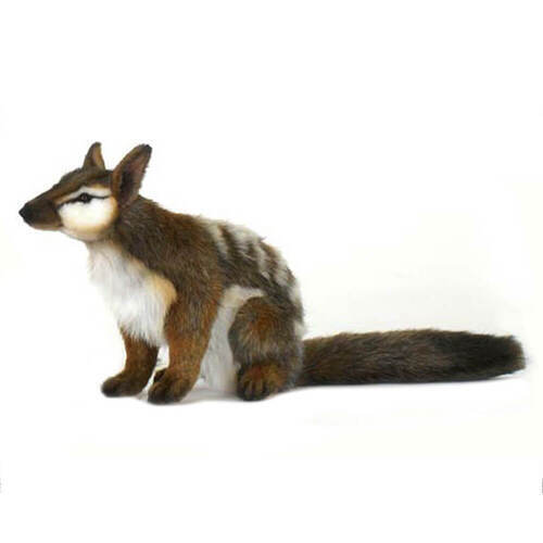 Plush Numbat 30cm