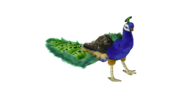 Peacock 24cm
