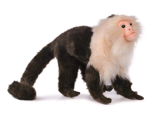 Plush Capuchin Monkey 20cm