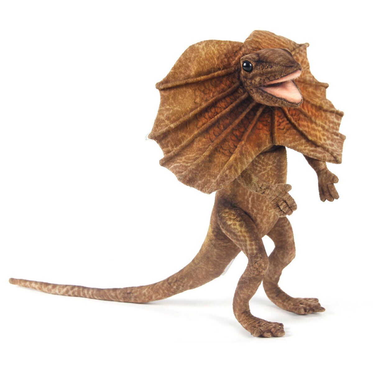 Hansa Frilled Neck Lizard