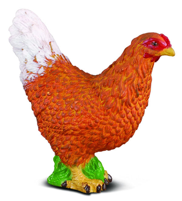 Hen