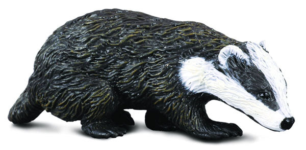 Eurasian Badger