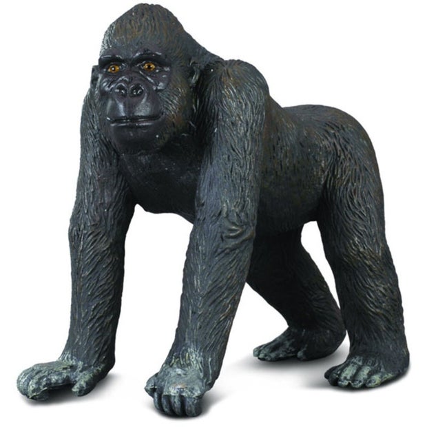 Western Gorilla