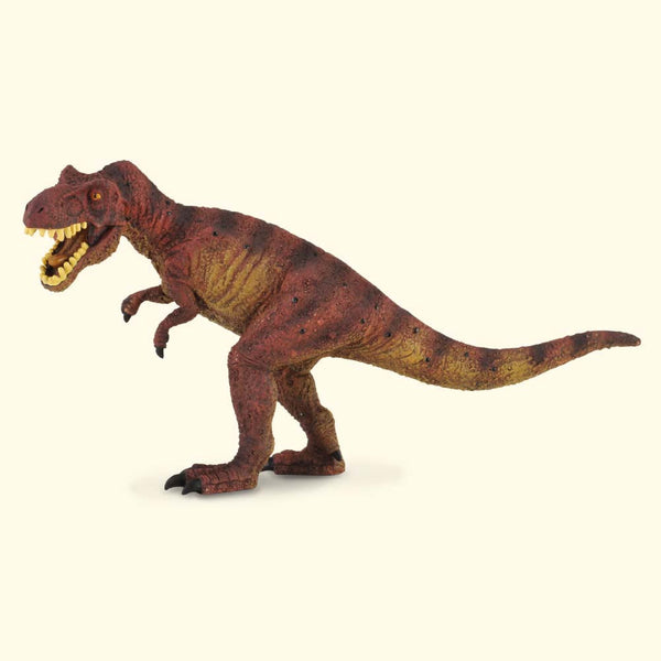 Tyrannosaurus Rex Lge