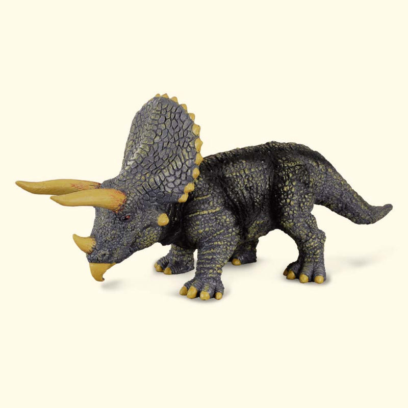 Triceratops Lge