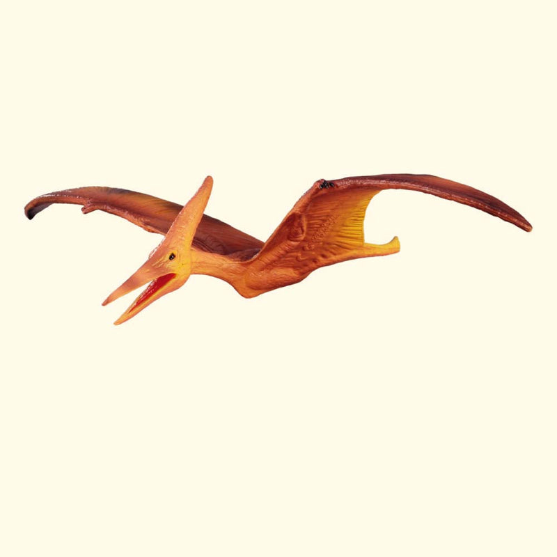 Pteranodon Med
