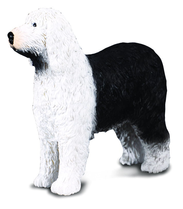 Old English Sheep Dog