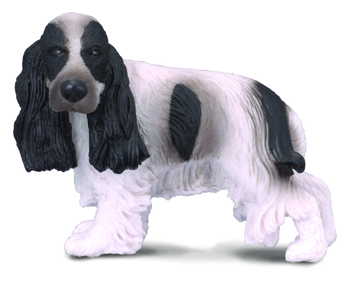 English Cocker Spaniel