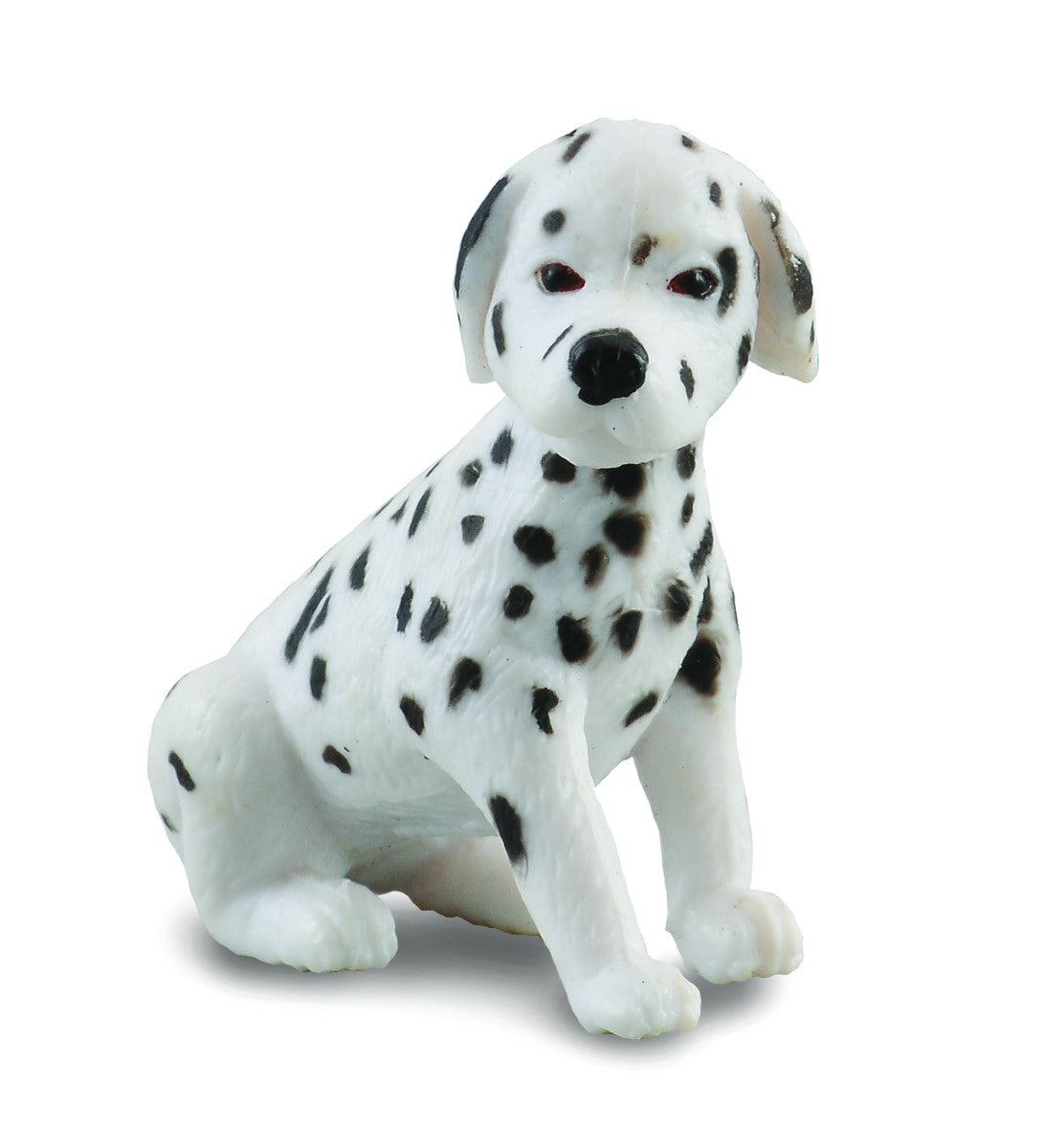 Dalmatian Puppy