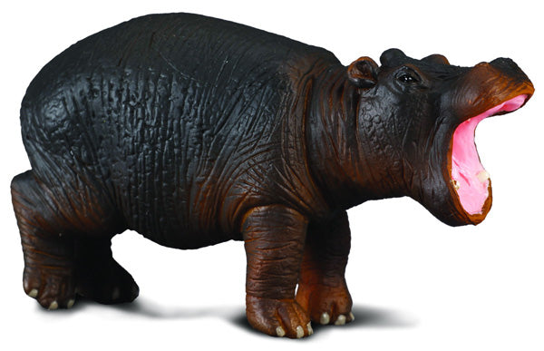 Hippopotamus Calf