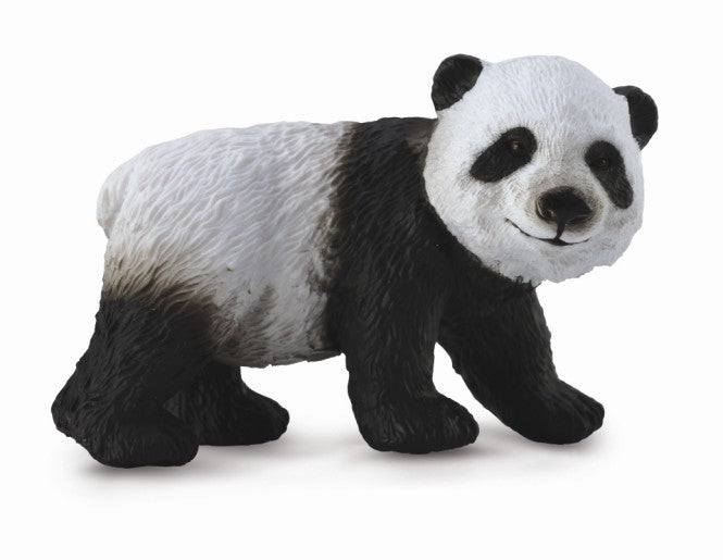 Giant Panda Cub Standing