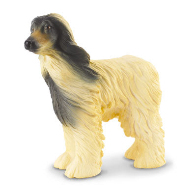 Afghan Hound