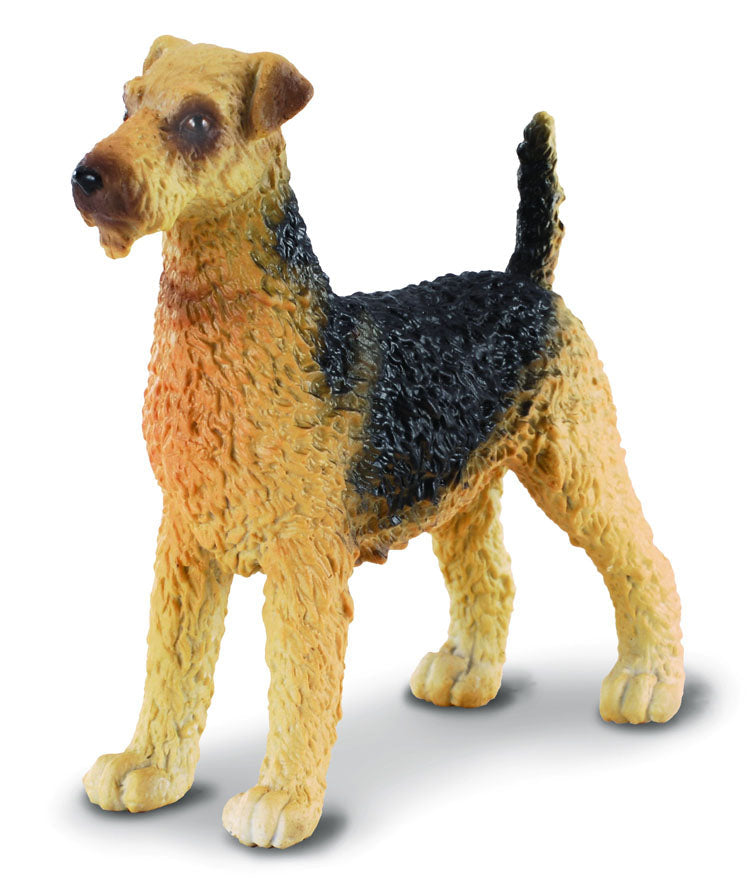 Airedale Terrier