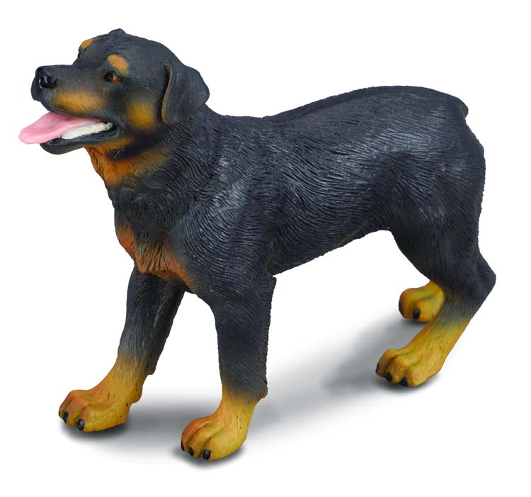 Rottweiller