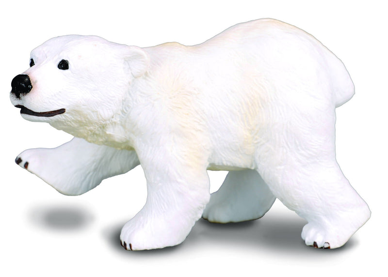 Polar Bear Cub Standing