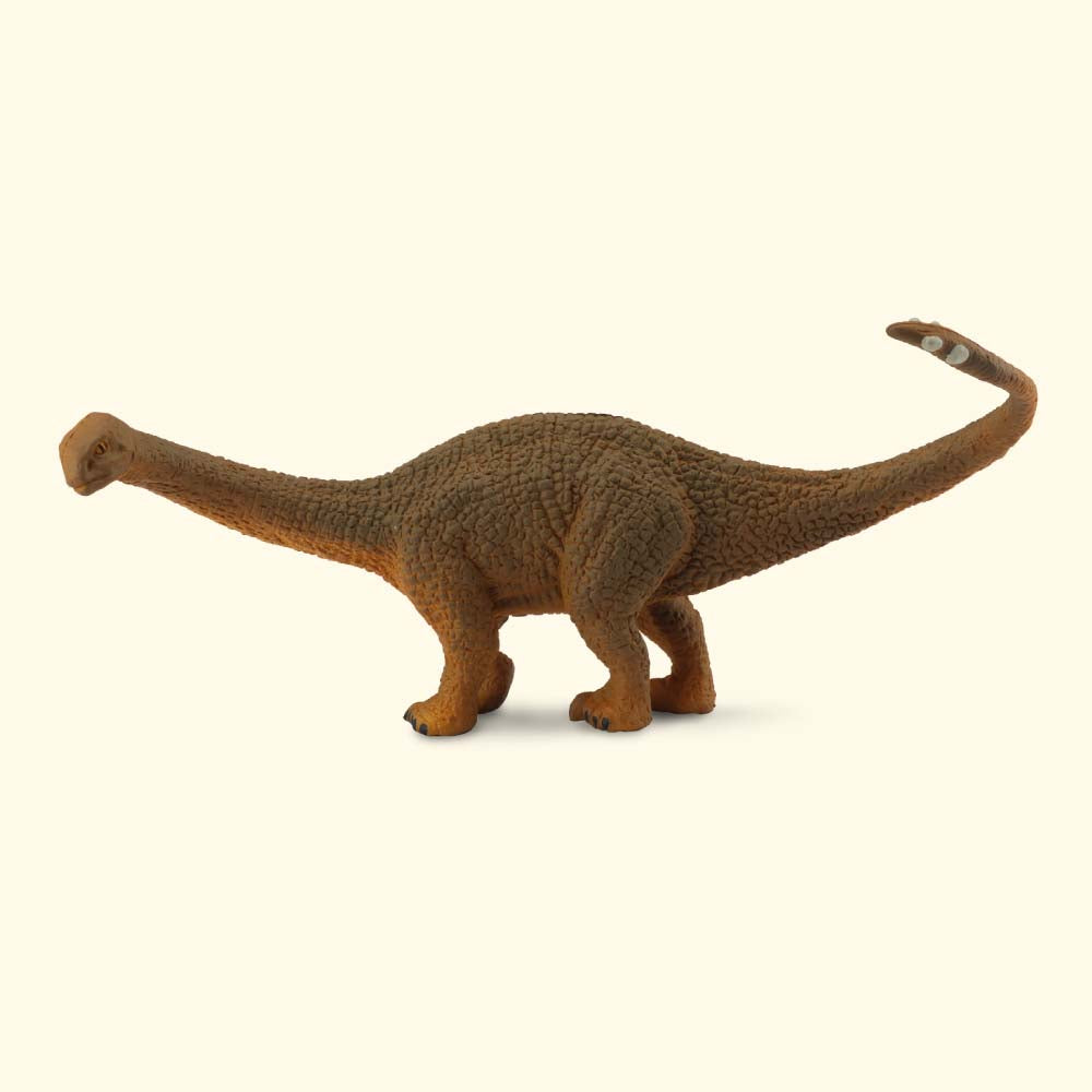 Shunosaurus