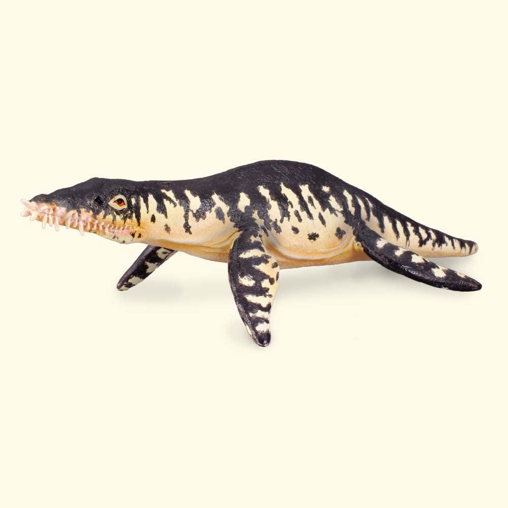 Liopleurodon