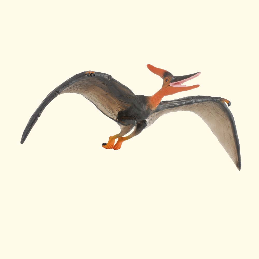 Pteranodon