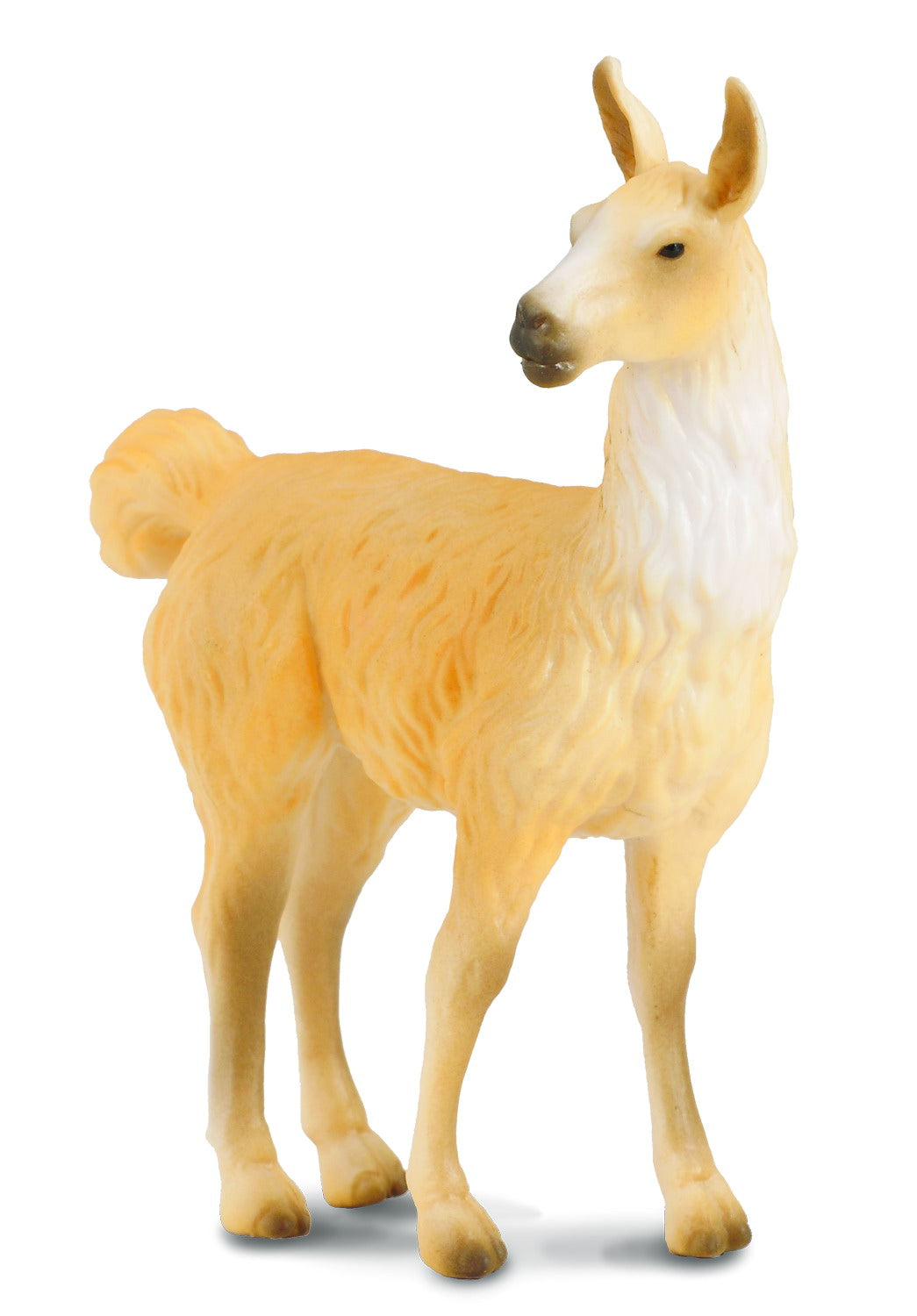 Llama