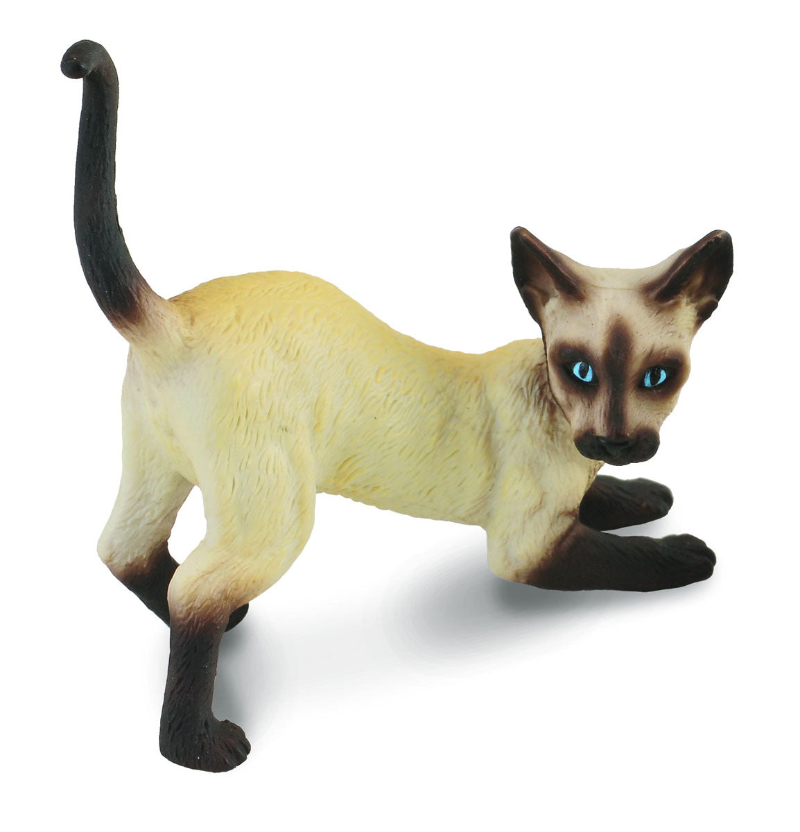 Siamese Cat Stretching