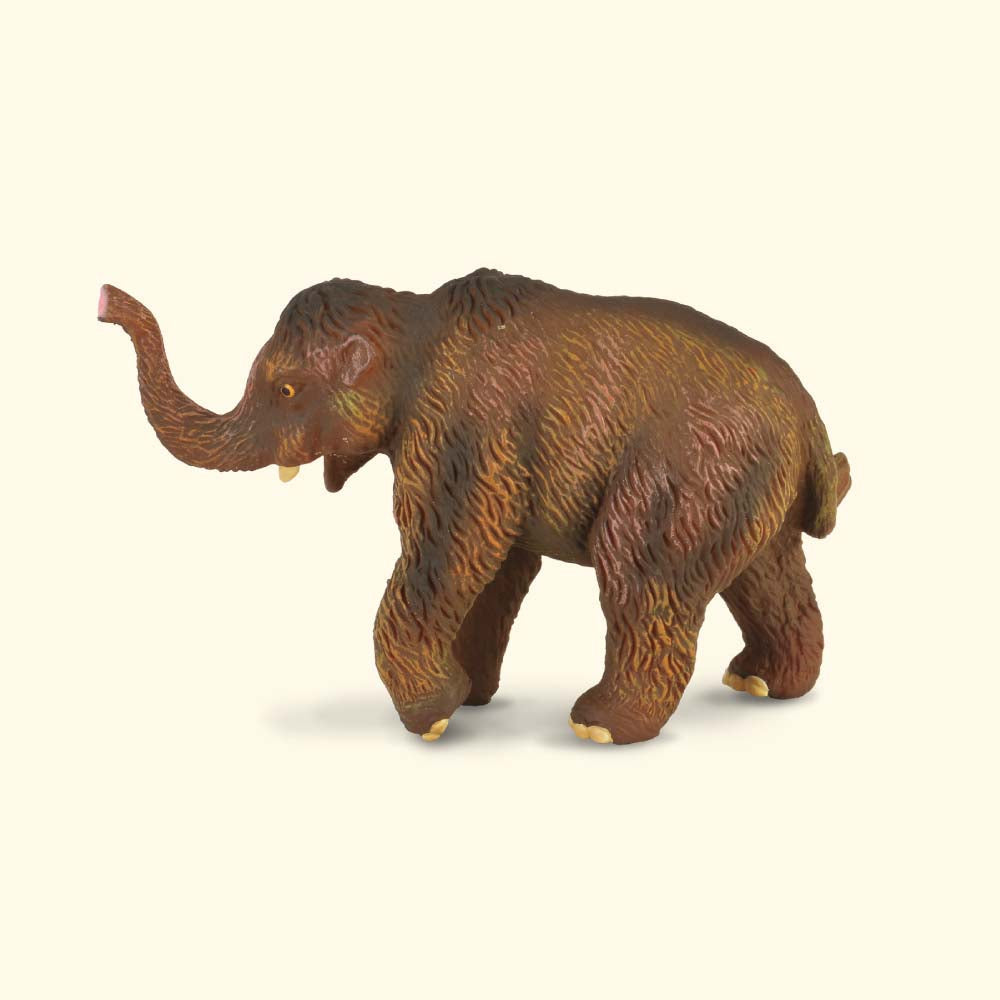 Wooly Mammoth Calf