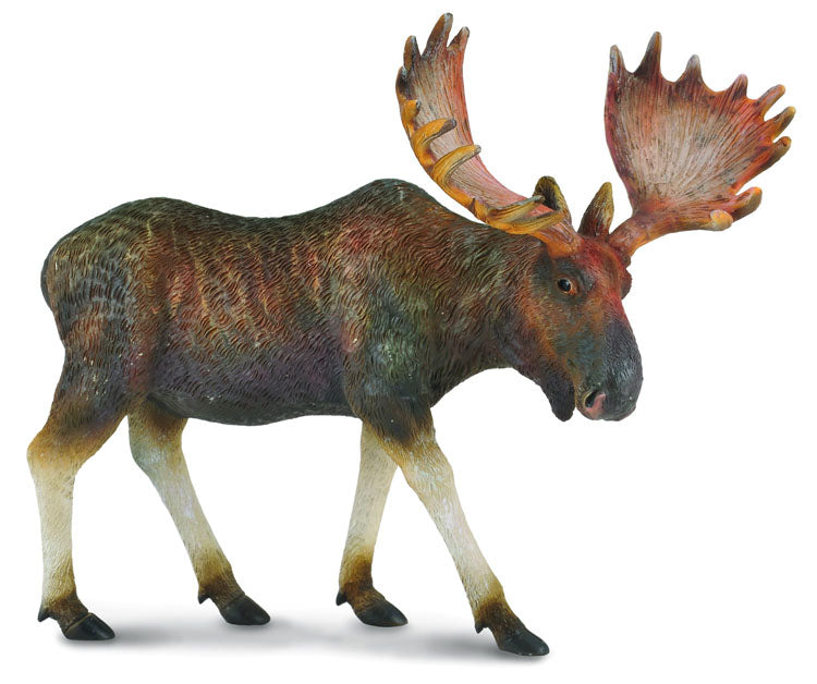 Moose_Elk