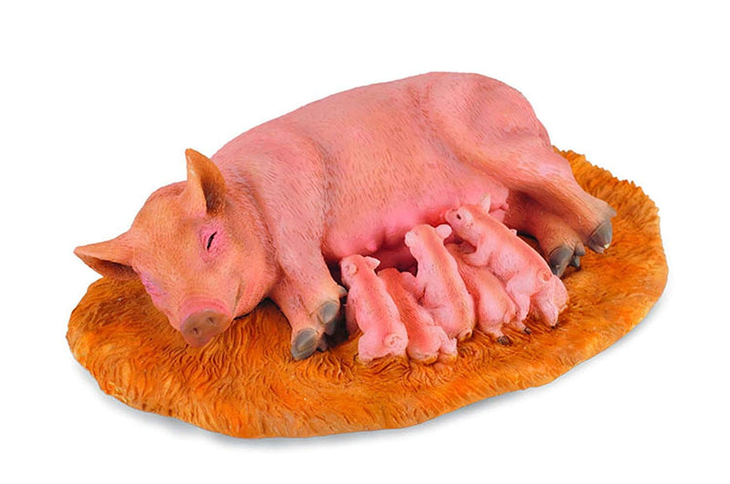 Sow With Piglets