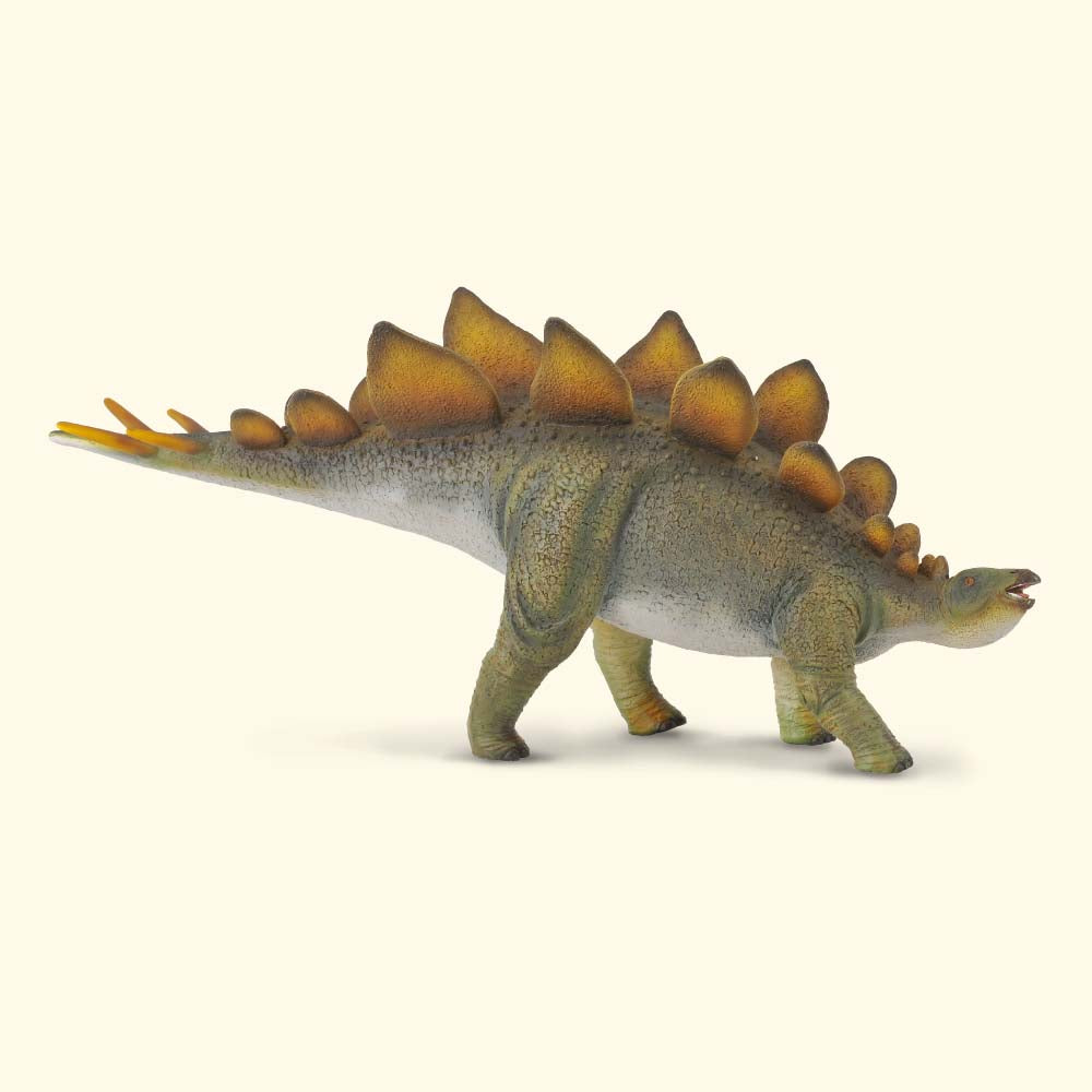 Stegosaurus