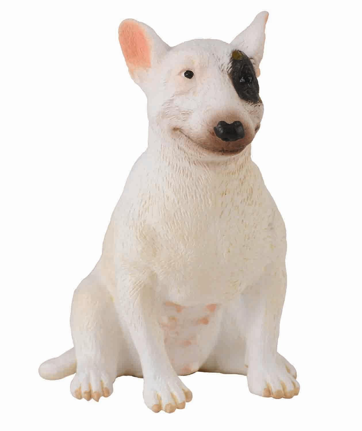 Bull Terrier Female