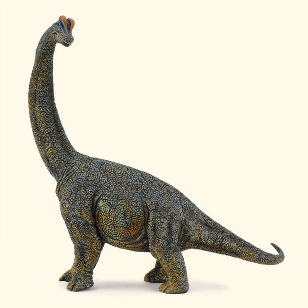 Brachiosaurus