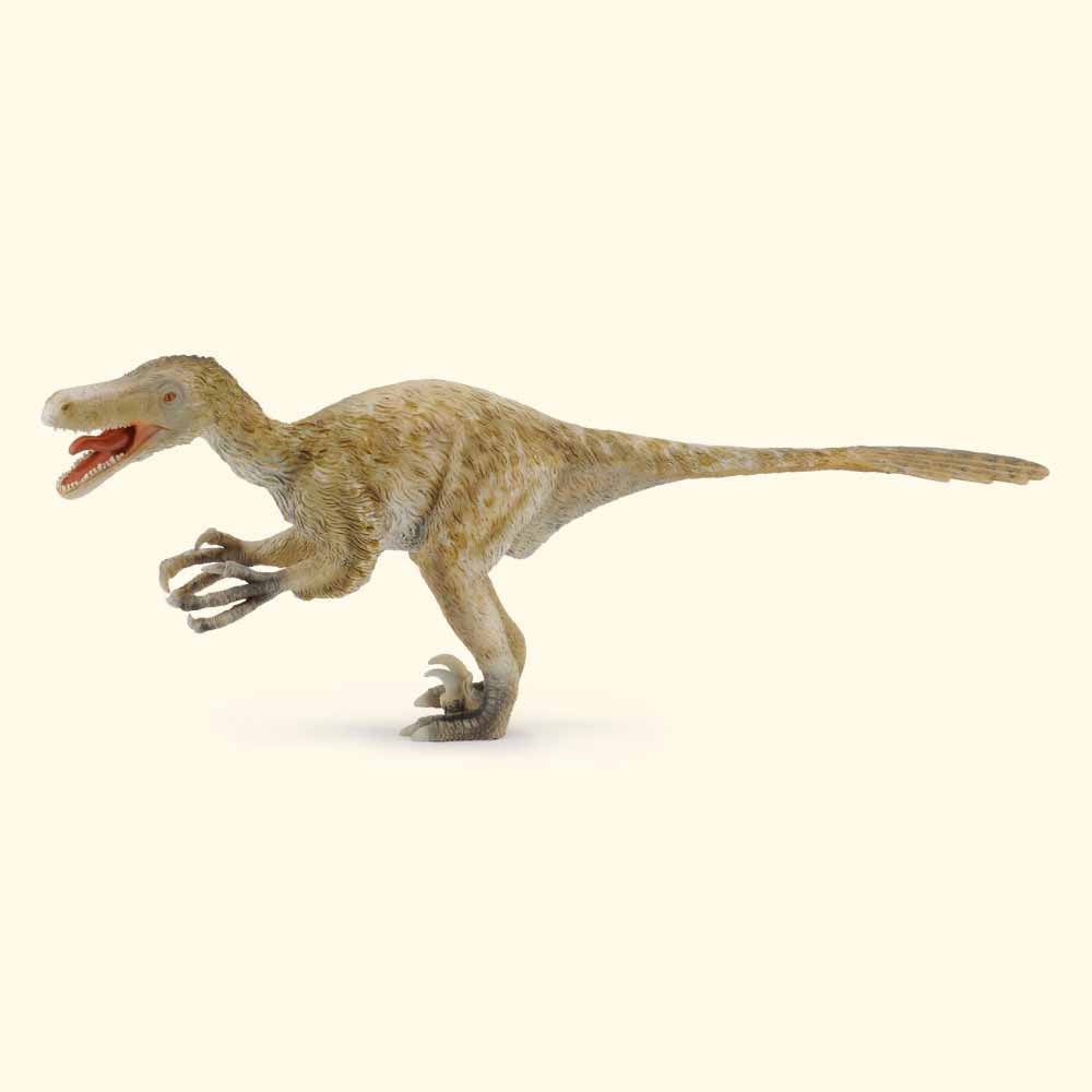 Velociraptor