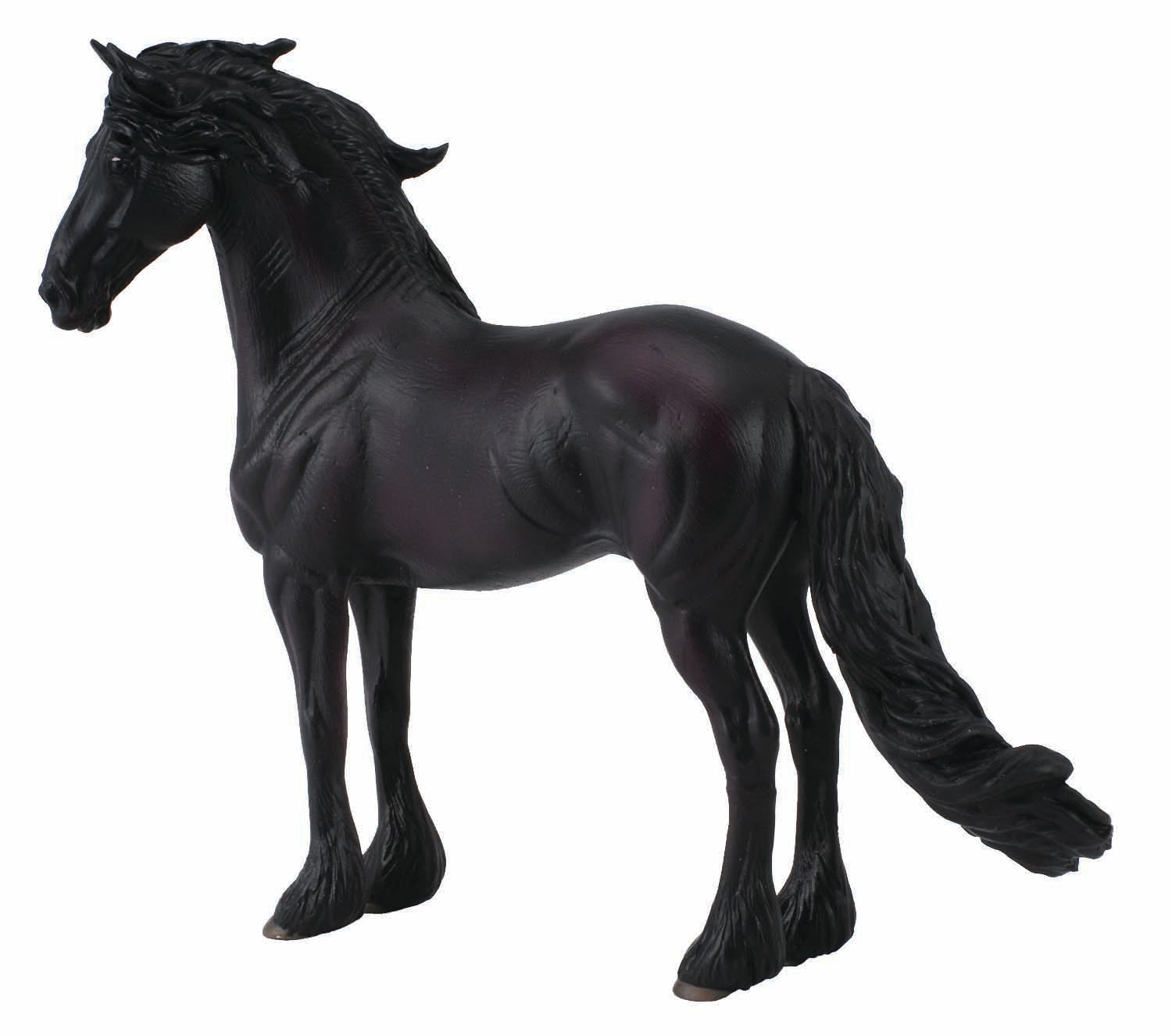 Freisian Stallion