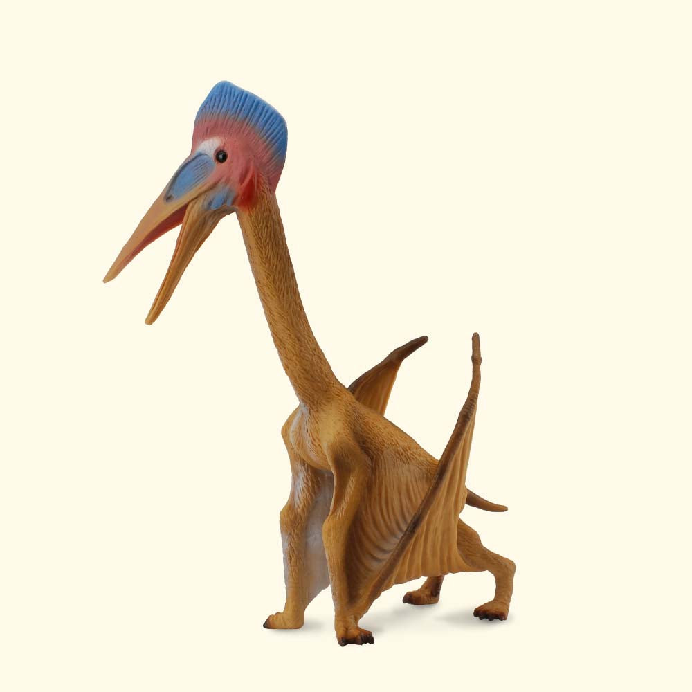 Hatzegopteryx